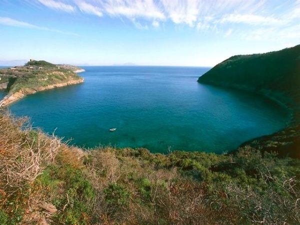 Procida isolotto di Vivara